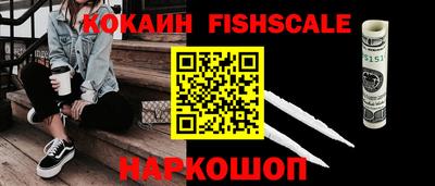 крисы Кингисепп
