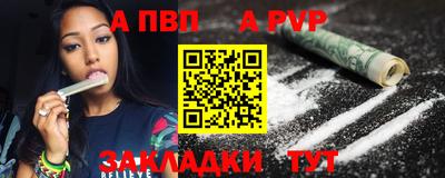 крисы Кингисепп