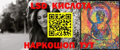 крисы Кингисепп