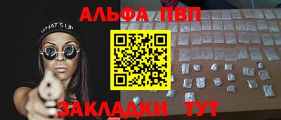 крисы Кингисепп