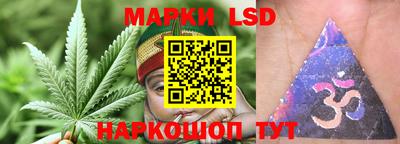 крисы Кингисепп