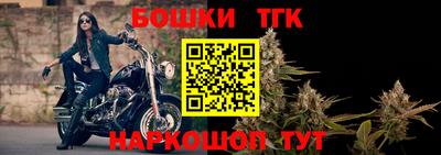 крисы Кингисепп