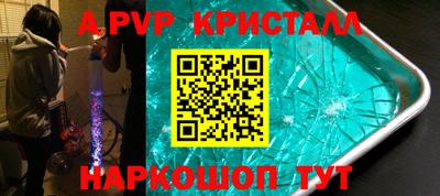 крисы Кингисепп