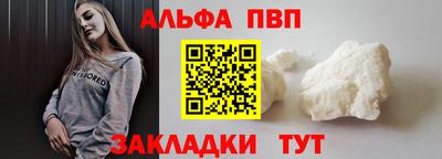 крисы Кингисепп