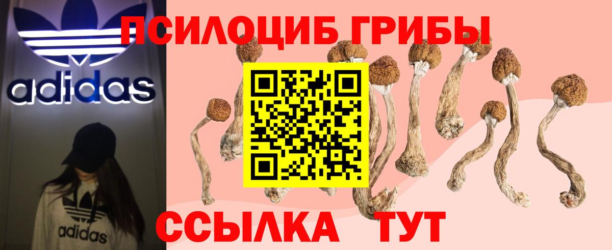 Псилоцибиновые грибы Magic Shrooms  Вход с VPN  Керчь 